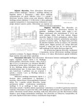 Džiovinimo teorijos pagrindai. Džiovyklos 8 puslapis