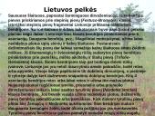 Lietuvos augalija 9 puslapis