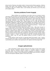 E. From "Turėti ar būti?" - pagrindinių minčių analizė 6 puslapis