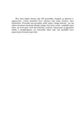 Egipto architektūra 10 puslapis
