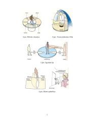 Egzistencializmas: pagrindinės problemos, požiūris ir atstovai 8 puslapis