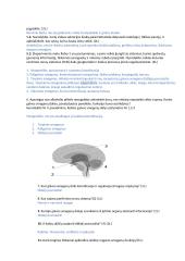 Nervų sistemos užduotys 2 puslapis