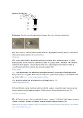 Nervų sistemos užduotys 4 puslapis