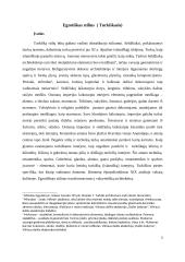 Egzotiškas stilius (turkiškasis) 3 puslapis