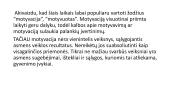 Motyvacija ir šiuolaikinės motyvacijos teorijos 11 puslapis