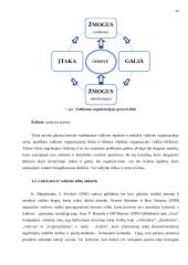 Vadovo valdymo stiliaus poveikis darbuotojų motyvacijai 12 puslapis