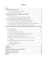 Vadovo valdymo stiliaus poveikis darbuotojų motyvacijai 3 puslapis