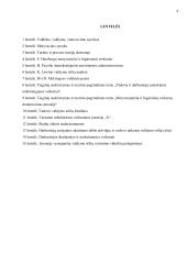 Vadovo valdymo stiliaus poveikis darbuotojų motyvacijai 4 puslapis