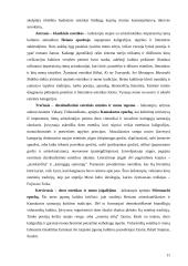 Estetika ir menas japonų kultūroje 9 puslapis