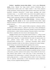 Estetika ir menas japonų kultūroje 10 puslapis