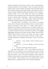 Vaikų globos namų auklėtinių moralinės nuostatos: integracijos į visuomenę aspektas 11 puslapis