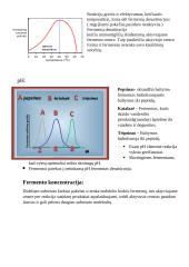 Fermentai (biologiniai katalizatoriai) 2 puslapis