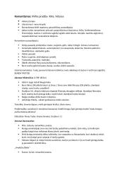 Romantizmas/Realizmas 