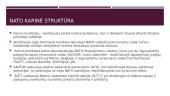 Kas yra NATO? 6 puslapis
