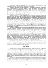 Folklendų karas 14 puslapis