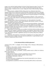 Gabūs vaikai ir jų mokymosi problemos 5 puslapis