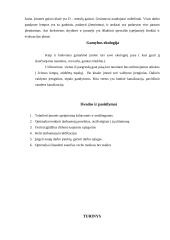 Gamybinė praktika: mašinų gamyba 13 puslapis