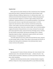 Gamybos procesas ir technologija įmonėje: AB "Utenos trikotažas" 12 puslapis