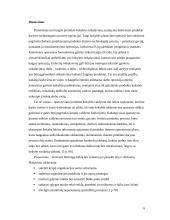 Gamybos procesas ir technologija įmonėje: AB "Utenos trikotažas" 6 puslapis