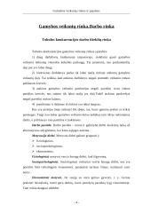 Gamybos veiksnių rinkos ir pajamos 2 puslapis