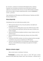 Genų veikla - ekspresija. Jos du etapai: transkripcija ir transliacija 5 puslapis