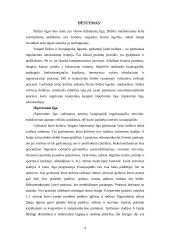 Gydomoji kūno kultūra sergant širdies ligomis 3 puslapis