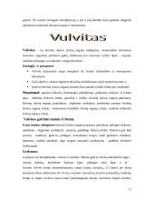 Ginekologinės uždegiminės ligos 10 puslapis