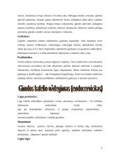 Ginekologinės uždegiminės ligos 5 puslapis