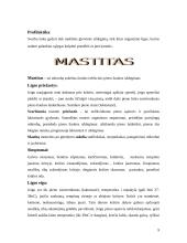 Ginekologinės uždegiminės ligos 8 puslapis