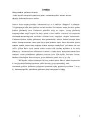 Gladiatoriai 2 puslapis