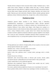 Gladiatoriai 5 puslapis