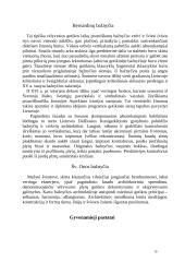 Gotika. Gotikinis Vilnius 10 puslapis