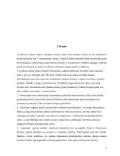 Gotikos ypatumai Prancūzijoje, Anglijoje ir Ispanijoje 9 puslapis