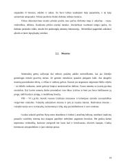 Graikų meno raidos laikotarpių charakteristika 14 puslapis