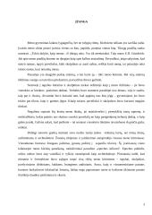 Graikų meno raidos laikotarpių charakteristika 3 puslapis