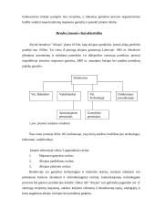 Įmonės pasiūla. Gamybos proceso valdymas: AB "Aliejus" 3 puslapis