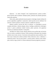 Įmonės pasiūla. Gamybos proceso valdymas: AB "Aliejus" 9 puslapis