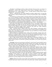 Indijos civilizacija 2 puslapis