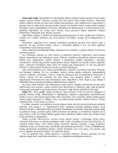 Indijos civilizacija 5 puslapis