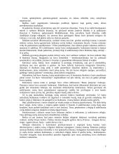 Indijos civilizacija 6 puslapis