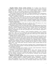 Indijos civilizacija 7 puslapis