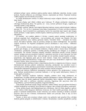 Indijos civilizacija 8 puslapis