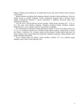 Indijos civilizacija 9 puslapis