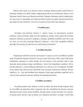 Konfliktų valdymas - konflikto analizė 2 puslapis