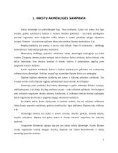 Inkstų akmenligės slaugymo ypatumai 3 puslapis