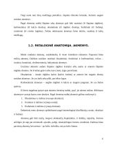 Inkstų akmenligės slaugymo ypatumai 5 puslapis