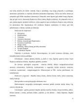 Inkstų akmenligės slaugymo ypatumai 8 puslapis