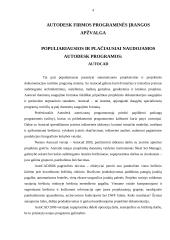 Instrumentinės projektavimo priemonės ir jų analizė 3 puslapis