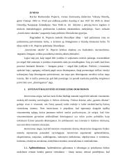 Istoricizmo doktrinos 2 puslapis