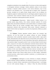 Istoricizmo doktrinos 3 puslapis